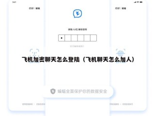 飞机加密聊天怎么登陆（飞机聊天怎么加人）
