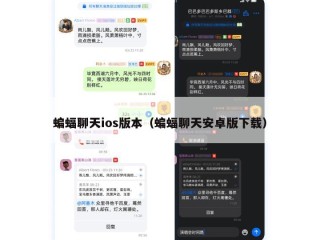 蝙蝠聊天ios版本（蝙蝠聊天安卓版下载）