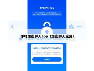 即时加密聊天app（加密聊天应用）