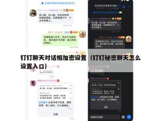 钉钉聊天对话框加密设置（钉钉秘密聊天怎么设置入口）