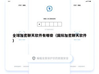 全球加密聊天软件有哪些（国际加密聊天软件）