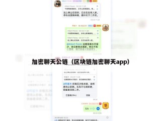 加密聊天公链（区块链加密聊天app）