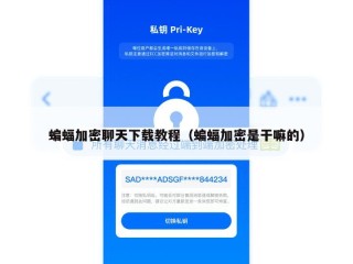 蝙蝠加密聊天下载教程（蝙蝠加密是干嘛的）