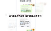 讯飞怎么聊天加密（讯飞怎么设置密码）