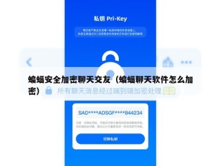蝙蝠安全加密聊天交友（蝙蝠聊天软件怎么加密）
