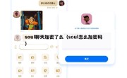 soul聊天加密了么（soul怎么加密码）