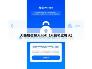 天籁加密聊天apk（天籁私密聊天）