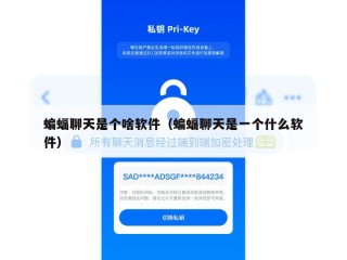 蝙蝠聊天是个啥软件（蝙蝠聊天是一个什么软件）