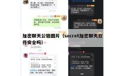 加密聊天公链图片（secret加密聊天软件安全吗）