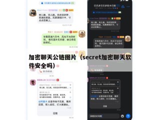 加密聊天公链图片（secret加密聊天软件安全吗）