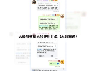 天籁加密聊天软件叫什么（天籁解锁）