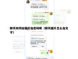 聊天如何给图片加密码呢（聊天图片怎么加文字）