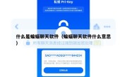 什么是蝙蝠聊天软件（蝙蝠聊天软件什么意思）