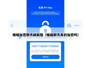 蝙蝠加密聊天破解版（蝙蝠聊天真的加密吗）