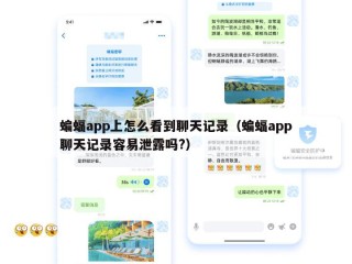 蝙蝠app上怎么看到聊天记录（蝙蝠app聊天记录容易泄露吗?）