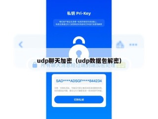 udp聊天加密（udp数据包解密）