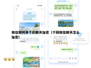 微信如何单个的聊天加密（个别微信聊天怎么加密）