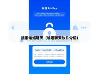 搜索蝙蝠聊天（蝙蝠聊天软件介绍）