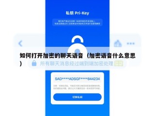 如何打开加密的聊天语音（加密语音什么意思）