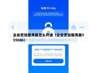 企业密信服务器怎么开通（企业密信服务器555666）