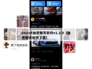 secret加密聊天软件v1.2.9（加密聊天软件下载）