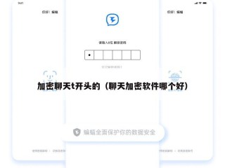 加密聊天t开头的（聊天加密软件哪个好）