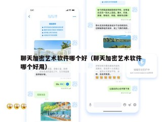 聊天加密艺术软件哪个好（聊天加密艺术软件哪个好用）