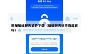 揭秘蝙蝠聊天软件下载（蝙蝠聊天软件百度百科）