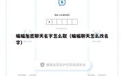 蝙蝠加密聊天名字怎么取（蝙蝠聊天怎么改名字）