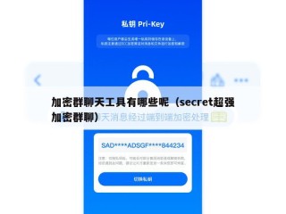 加密群聊天工具有哪些呢（secret超强加密群聊）