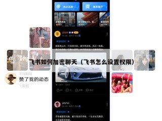 飞书如何加密聊天（飞书怎么设置权限）