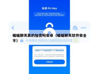 蝙蝠聊天真的加密吗安卓（蝙蝠聊天软件安全不）