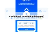 msn聊天加密（msn聊天记录储存在哪）
