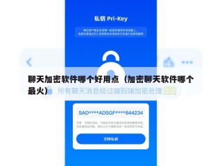 聊天加密软件哪个好用点（加密聊天软件哪个最火）