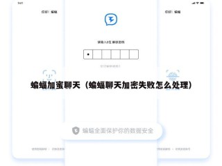 蝙蝠加蜜聊天（蝙蝠聊天加密失败怎么处理）