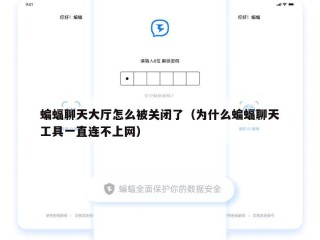 蝙蝠聊天大厅怎么被关闭了（为什么蝙蝠聊天工具一直连不上网）