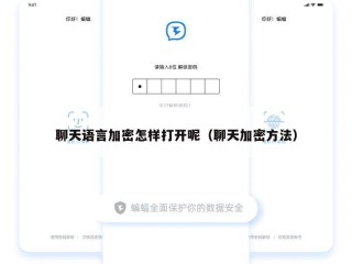 聊天语言加密怎样打开呢（聊天加密方法）