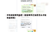 手机语音聊天加密（语音聊天已加密怎么才能恢复听呢）
