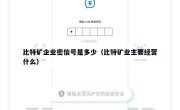 比特矿企业密信号是多少（比特矿业主要经营什么）