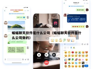 蝙蝠聊天软件是什么公司（蝙蝠聊天软件是什么公司做的）