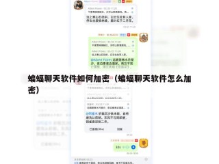 蝙蝠聊天软件如何加密（蝙蝠聊天软件怎么加密）