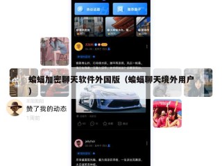 蝙蝠加密聊天软件外国版（蝙蝠聊天境外用户）