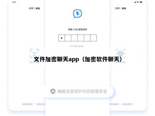 文件加密聊天app（加密软件聊天）