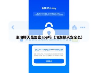 泡泡聊天是加密app吗（泡泡聊天安全么）