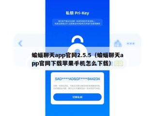 蝙蝠聊天app官网2.5.5（蝙蝠聊天app官网下载苹果手机怎么下载）