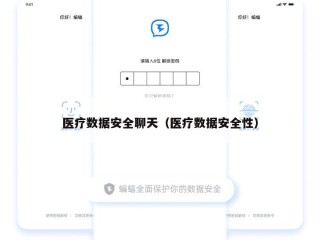 医疗数据安全聊天（医疗数据安全性）