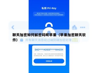 聊天加密如何解密码呢苹果（苹果加密聊天软件）