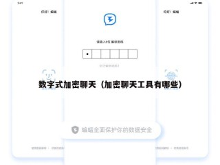 数字式加密聊天（加密聊天工具有哪些）