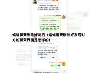 蝙蝠聊天删除好友后（蝙蝠聊天删除好友后对方的聊天界面是怎样的）