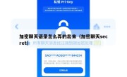 加密聊天语录怎么弄的出来（加密聊天secret）